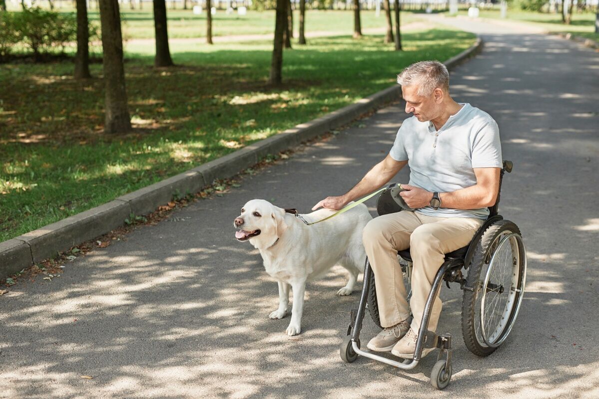 Man in wheelchair walking a dog